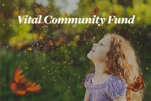 South Saskatchewan Vital Community Fund