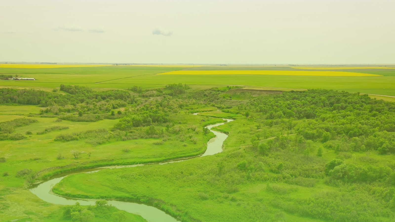 Non-Competitive Grant Applications