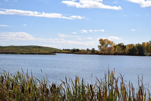 Coflin Skidmore Community Fund