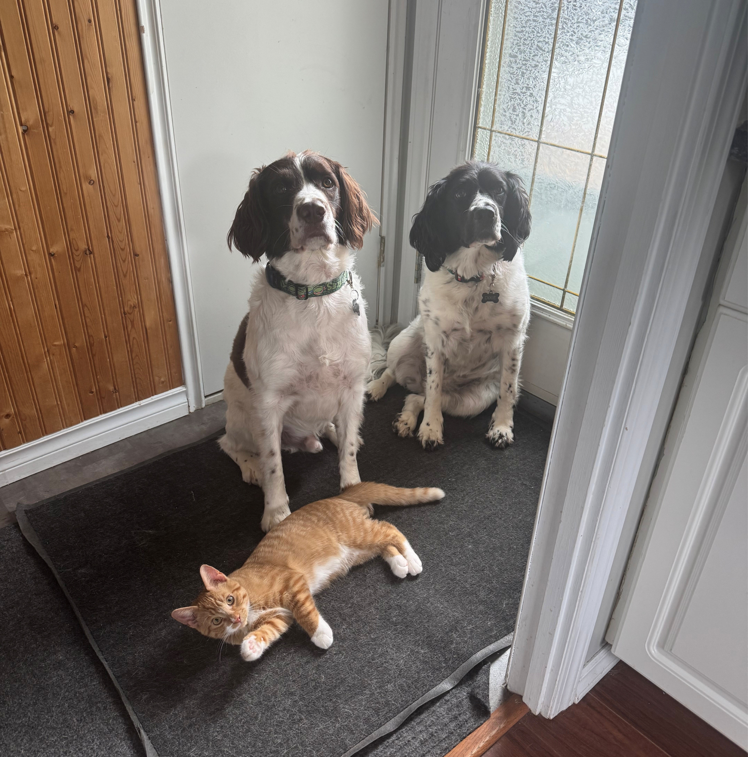 Fund Image - DAM Kind Legacy Fund (Saskatchewan Community Foundation) 1